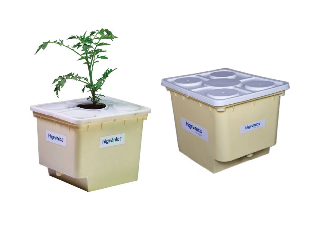 dutch bucket hydroponics